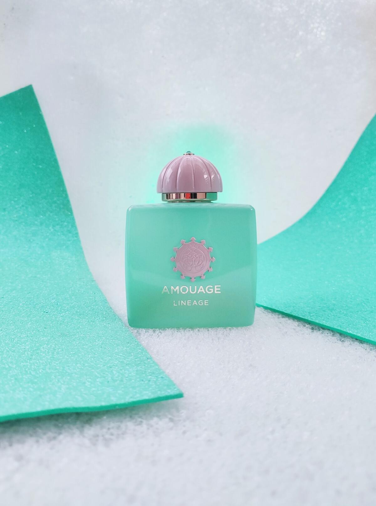 Amouage Guidance 46 Reasons Ou - Perfume Quality Fragrance Oils 评论和价格