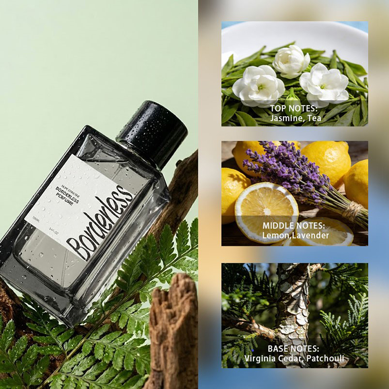 Luxury Borderless Men Perfume  - Perfume Lavender Fragrance 评论和价格